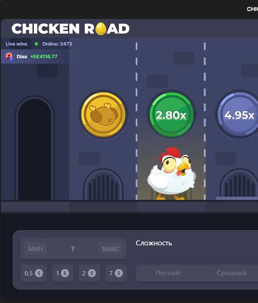 Chicken Road 2 Un Viaggio nel Mondo dei Soldi Veri -728907963